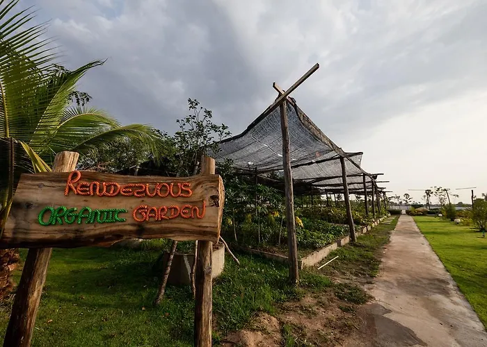 Angkor Rendezvous 5*